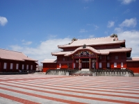 SONY DSC