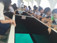 13494769_934172520026324_8149785518089651711_n