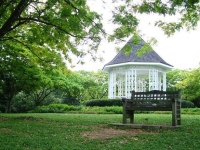 新加坡植物園4