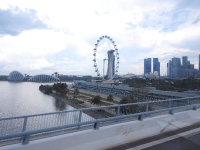 CAM00316